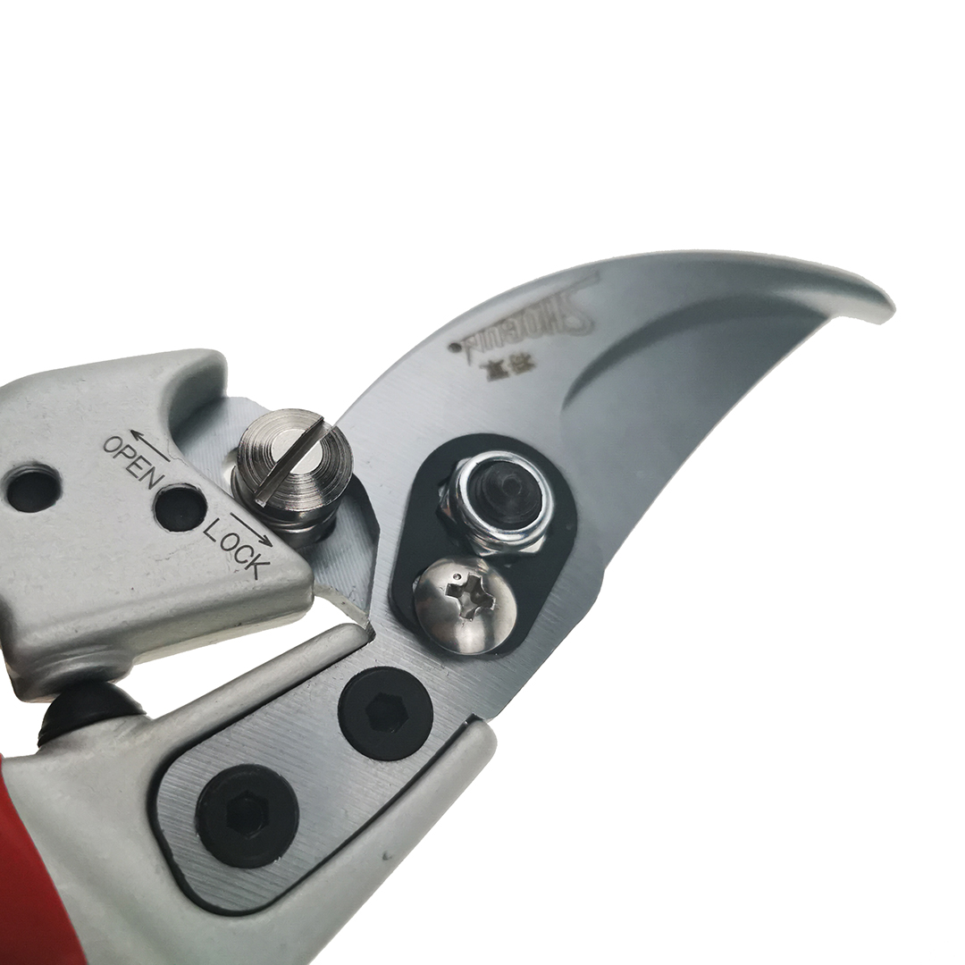  , Shogun-888, 55/210 