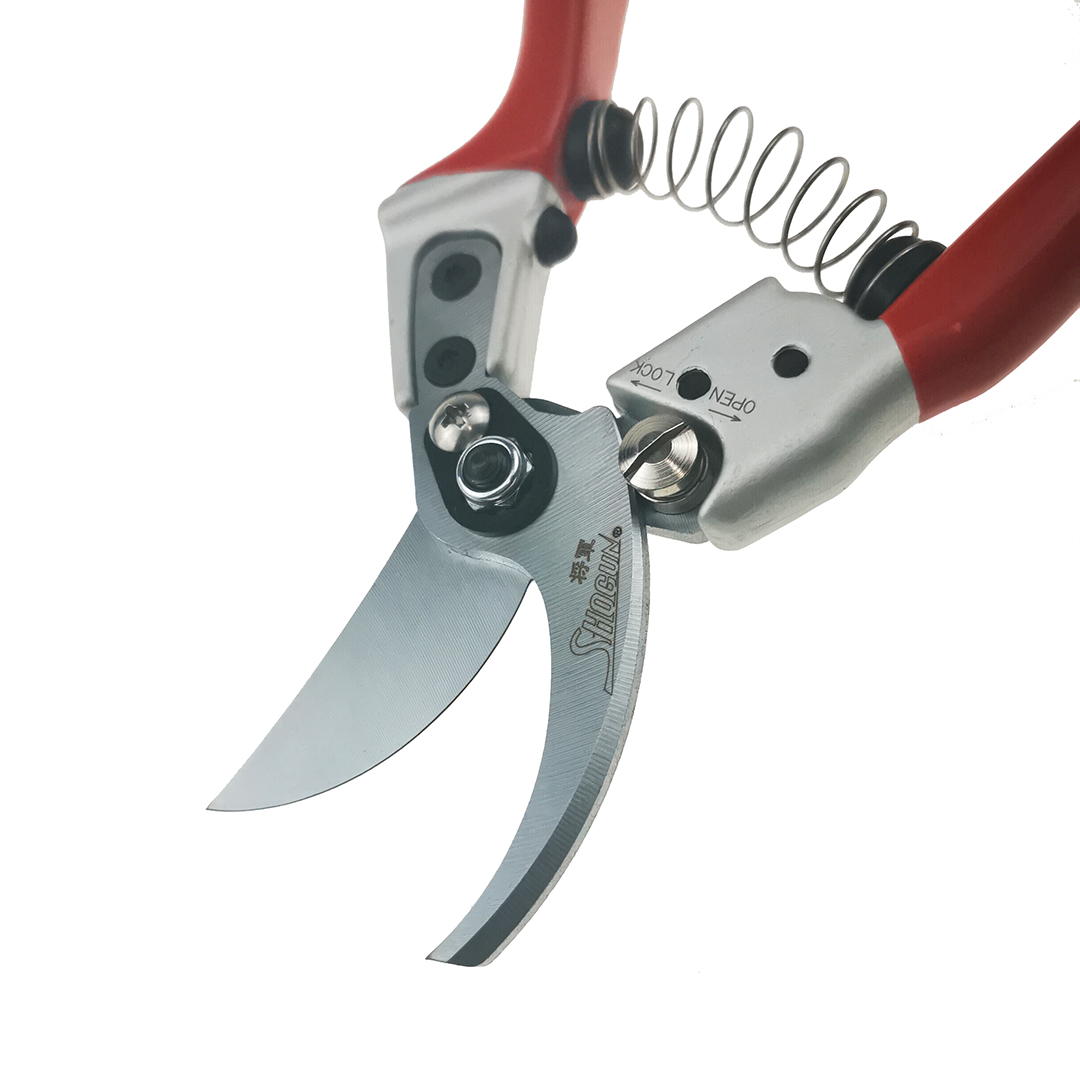  , Shogun-888, 55/210 