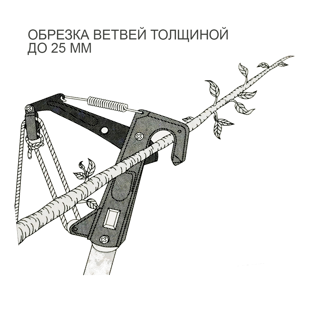  Kamaki, 3 , . 1400 - 3000,  