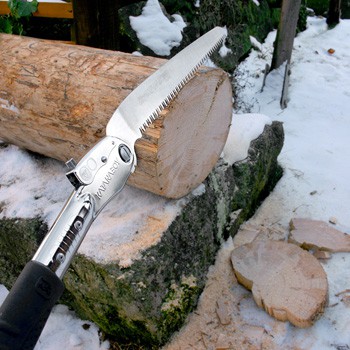  Silky Katanaboy, 5;30, 