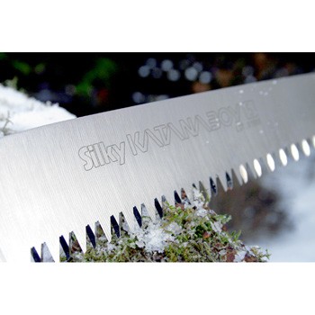  Silky Katanaboy, 5;30, 