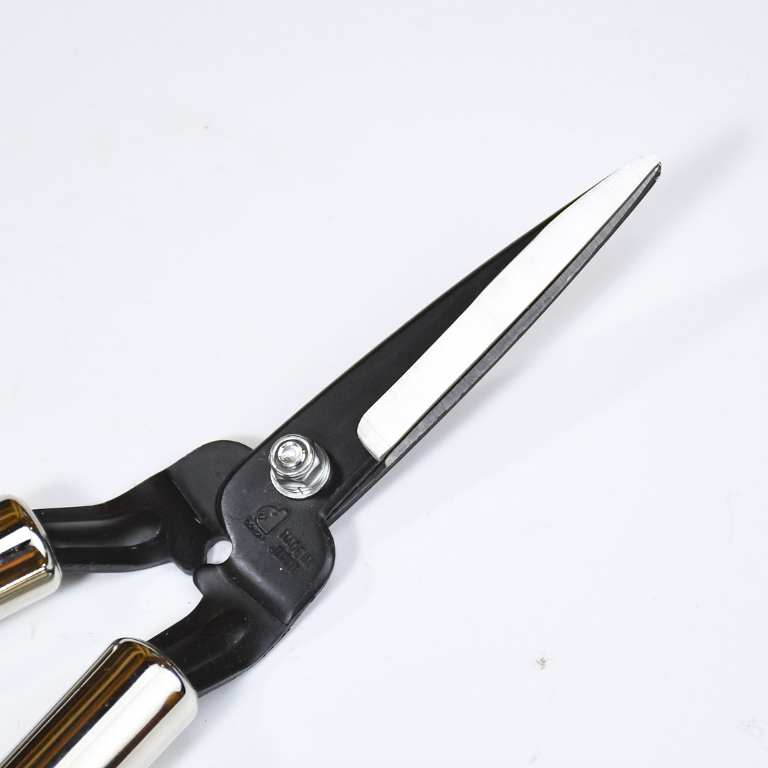     , Dokan Shozo, , 100/360