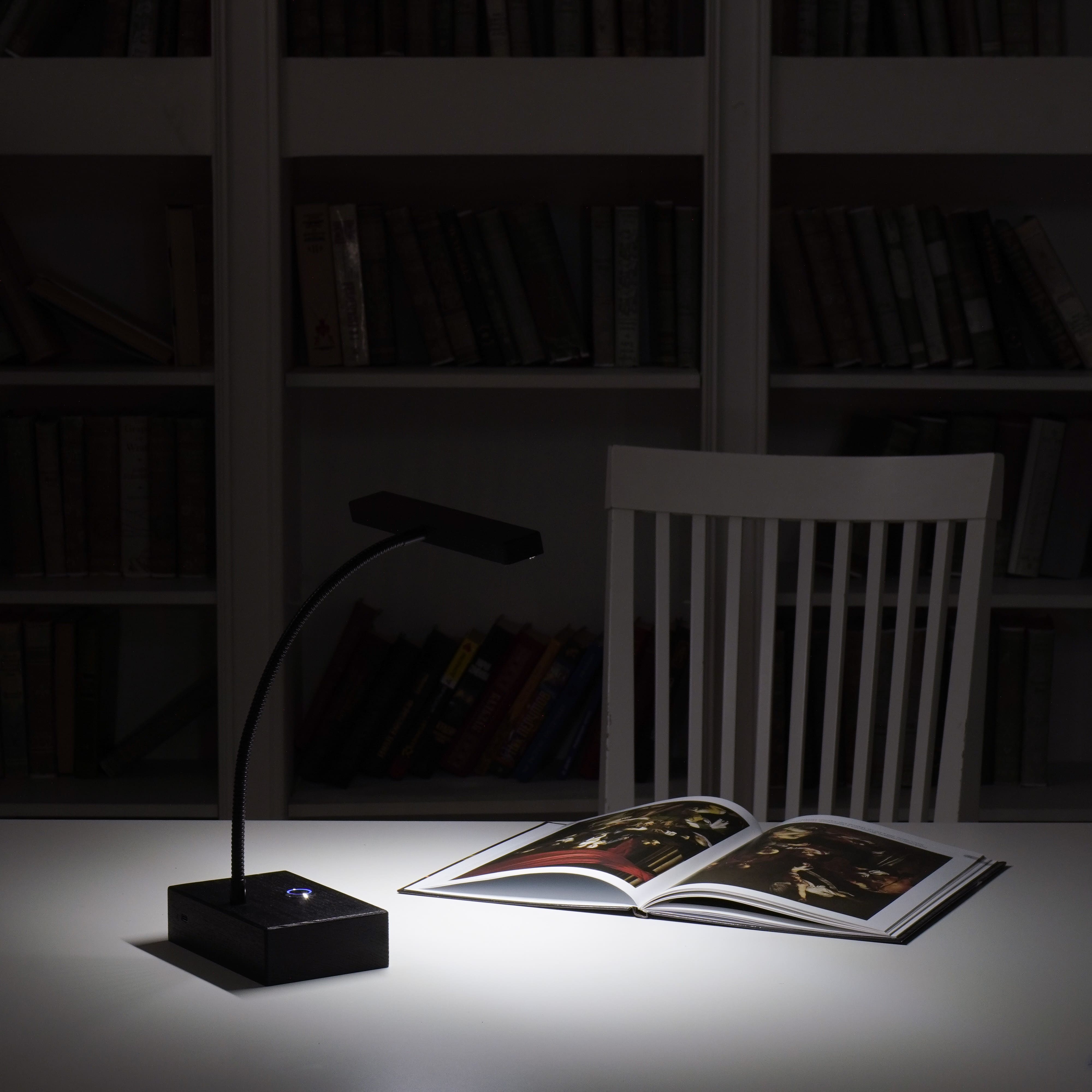 Светильник аккумуляторный, ПЕТРОГРАДЪ, модель Светильник аккумуляторный, ПЕТРОГРАДЪ, модель