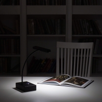 Светильник аккумуляторный, ПЕТРОГРАДЪ, модель Светильник аккумуляторный, ПЕТРОГРАДЪ, модель