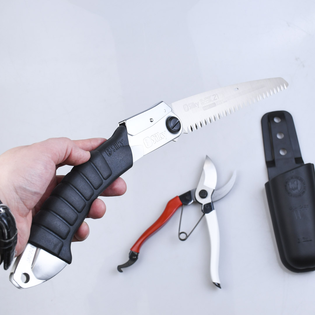   :  Okatsune,  Silky,  