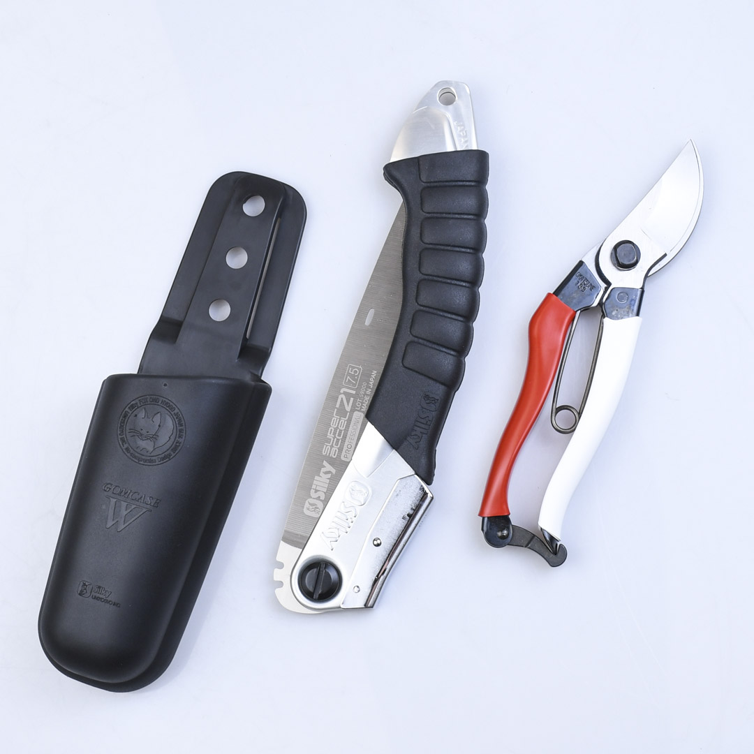   :  Okatsune,  Silky,  