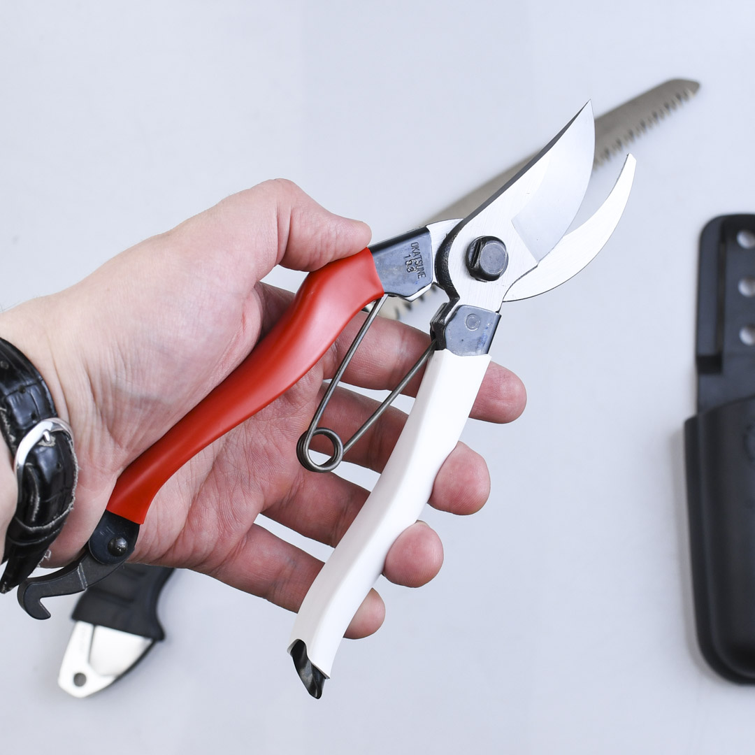   :  Okatsune,  Silky,  