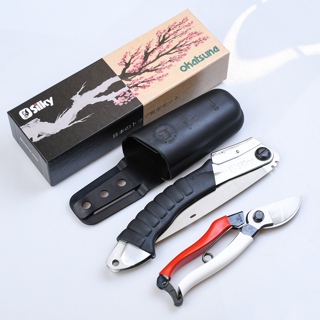   :  Okatsune,  Silky,  