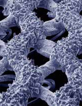  . Mirka Abranet, D125