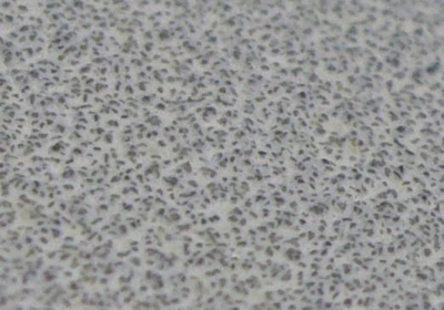  . Mirka Q.Silver, D150, 15 