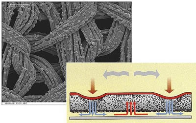  . Mirka Abralon, D150