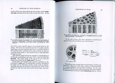 Книга Книга