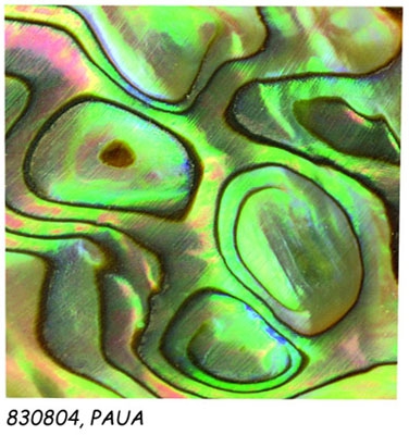 Перламутр 20*20мм, 5шт Перламутр 20*20мм, 5шт