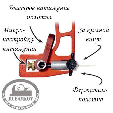   Knew Concept, 125*130,   