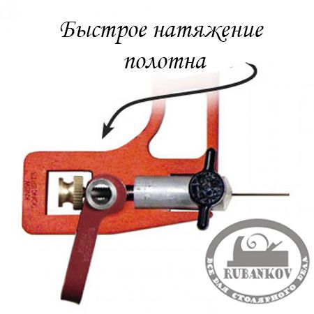   Knew Concept, 125*130,   