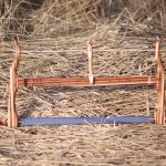 Первое место, пила Гневашева Юрия